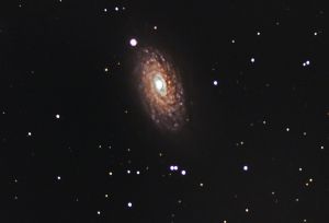Sunflower_Galaxy