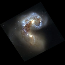 the Antennae galaxies is the sharpest yet of this merging pair of galaxies. During the course of the collision, billions of stars will be formed. The brightest and most compact of these star birth regions are called super star clusters. This picture was created using hubble raw data.