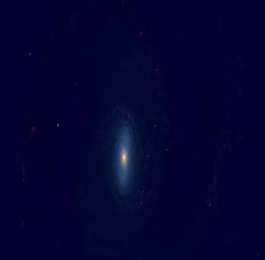he Whale Galaxy is a barred spiral galaxy located at an approximate distance of 30 million light years in the constellation Canes Venatici. It has an apparent magnitude of 9.8 and appears almost edge-on. It has been nicknamed the Whale because of its elongated, slightly triangular shape that resembles the profile of the whale. The galaxy has the designation NGC 4631 in the New General Catalogue.
