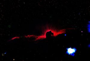 The Horsehead Nebula is a small dark nebula in the constellation Orion. The nebula is located just to the south of Alnitak, the easternmost star of Orion's 